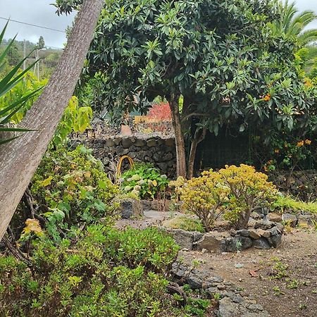 Oasis Hill Botanical Garden Villa Icod De Los Vinos Dış mekan fotoğraf
