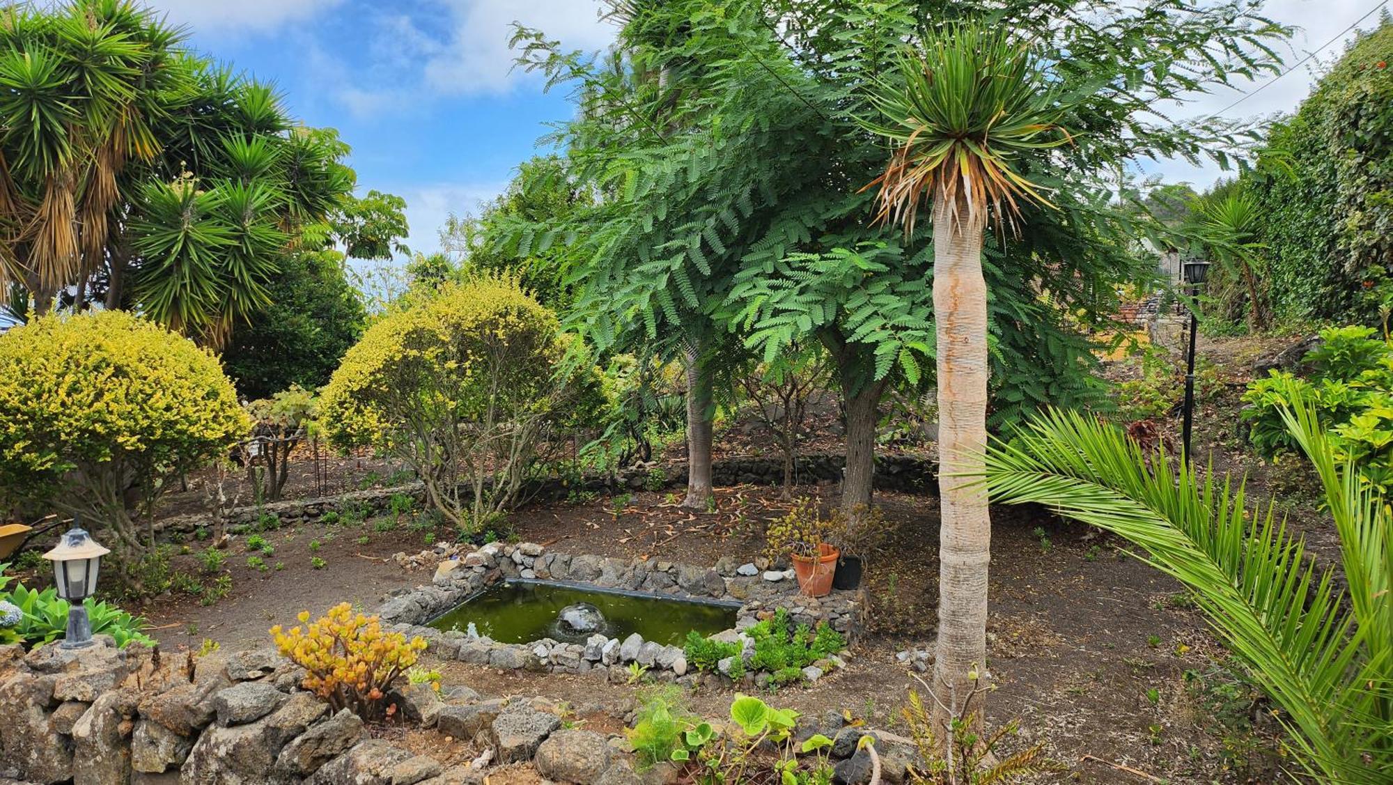 Oasis Hill Botanical Garden Villa Icod De Los Vinos Dış mekan fotoğraf