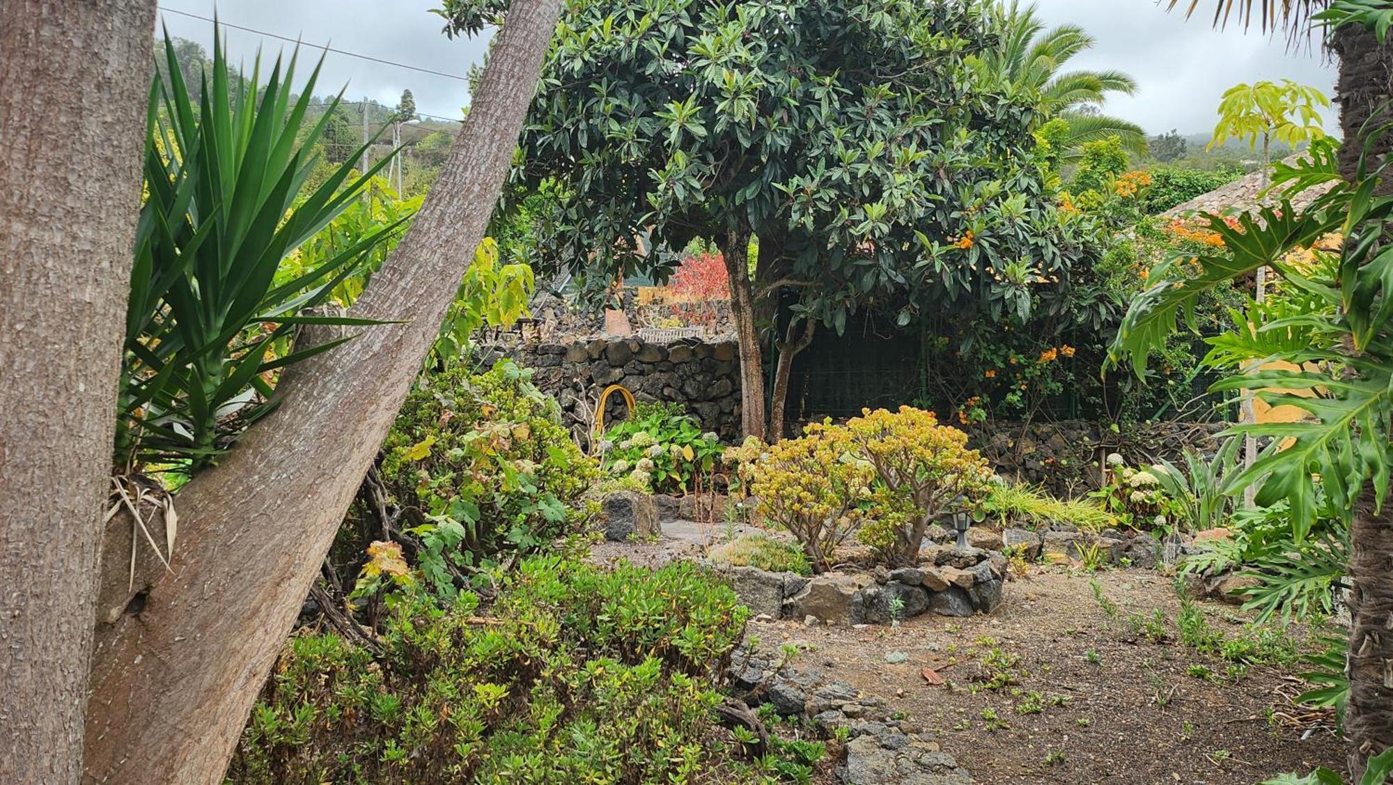Oasis Hill Botanical Garden Villa Icod De Los Vinos Dış mekan fotoğraf
