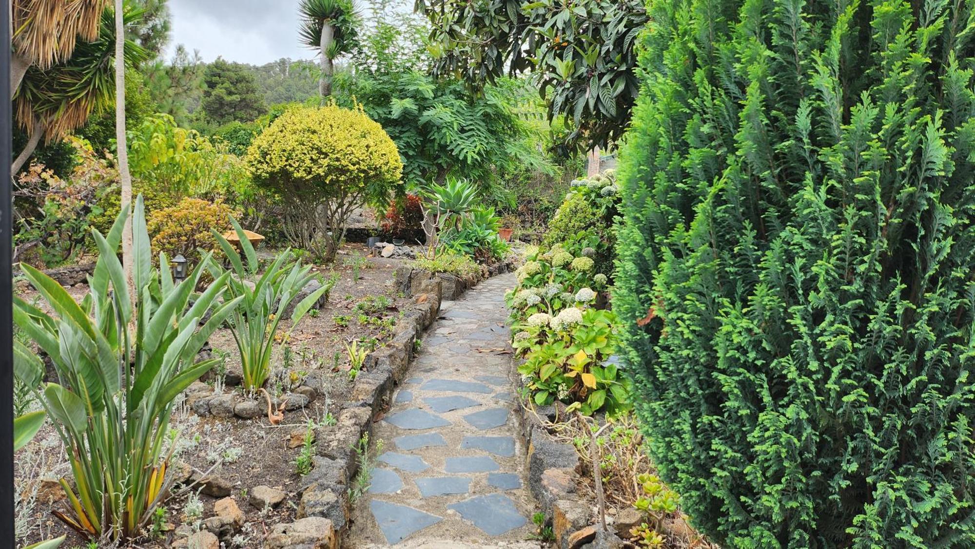 Oasis Hill Botanical Garden Villa Icod De Los Vinos Dış mekan fotoğraf