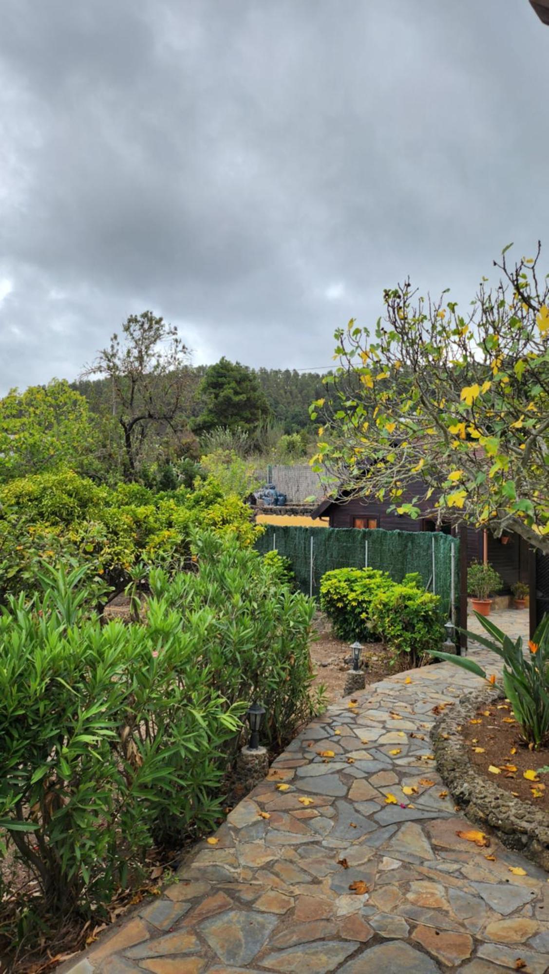 Oasis Hill Botanical Garden Villa Icod De Los Vinos Dış mekan fotoğraf