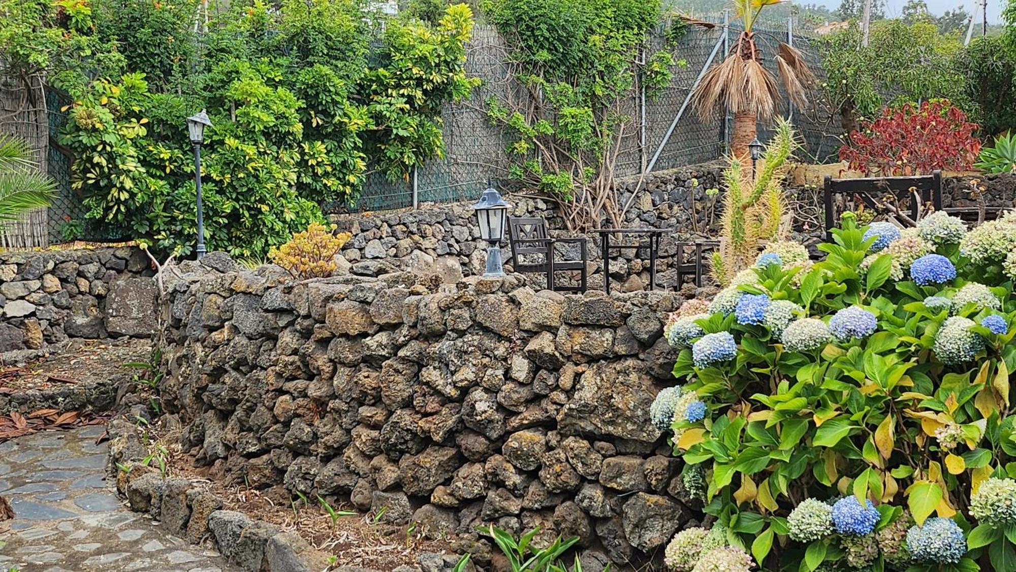 Oasis Hill Botanical Garden Villa Icod De Los Vinos Dış mekan fotoğraf