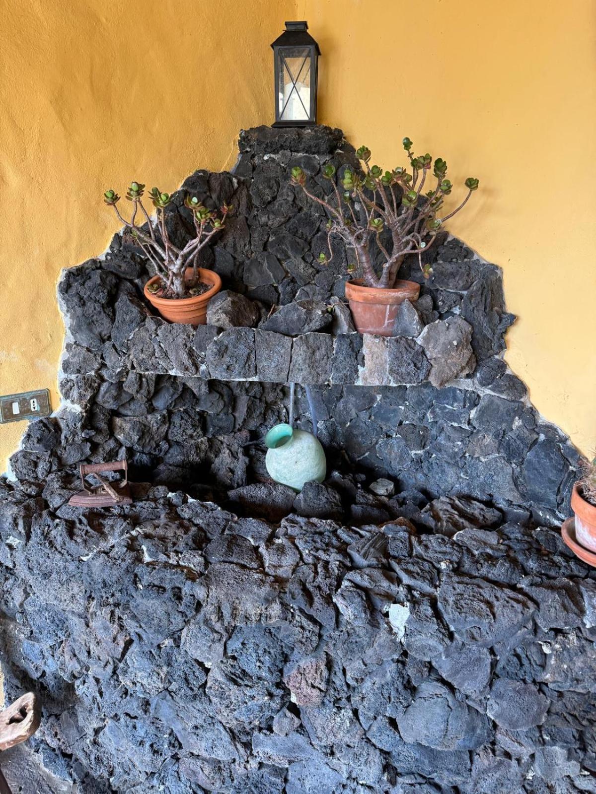Oasis Hill Botanical Garden Villa Icod De Los Vinos Dış mekan fotoğraf