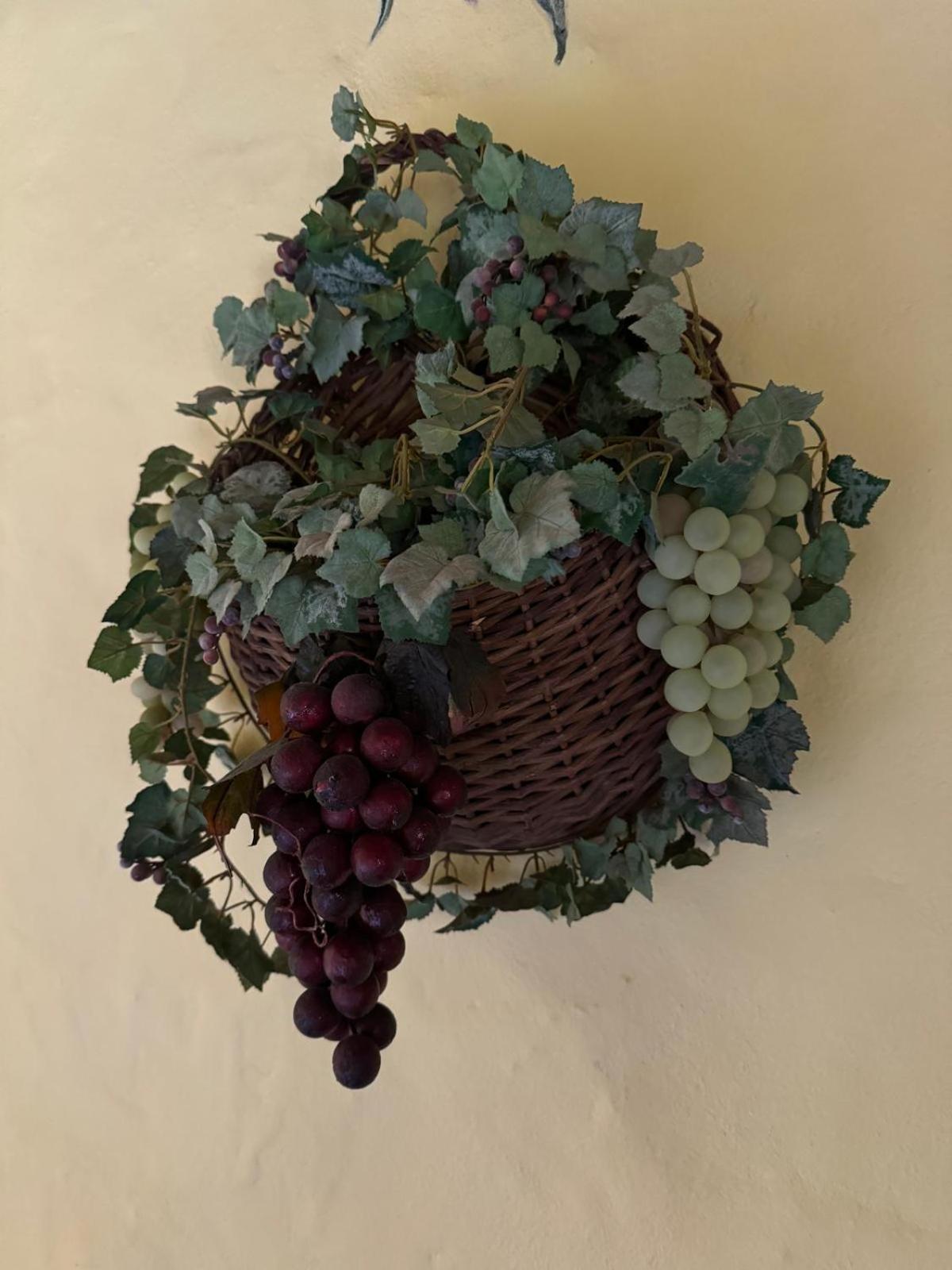 Oasis Hill Botanical Garden Villa Icod De Los Vinos Dış mekan fotoğraf