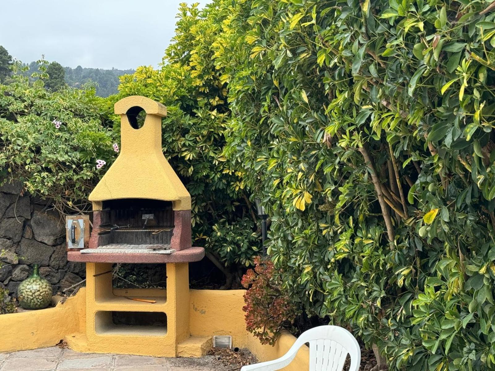 Oasis Hill Botanical Garden Villa Icod De Los Vinos Dış mekan fotoğraf