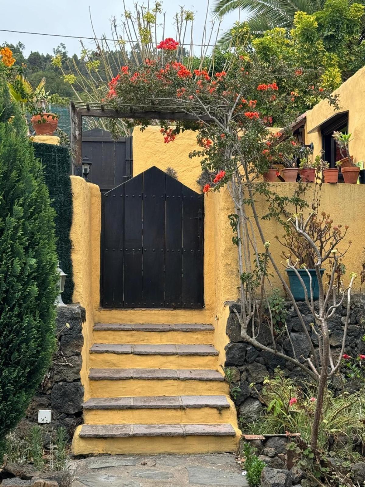 Oasis Hill Botanical Garden Villa Icod De Los Vinos Dış mekan fotoğraf